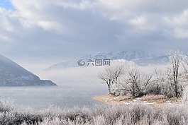景觀,冬天,冬季景觀