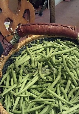 豆類,收獲,籃