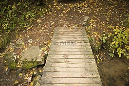走道,木材,大自然