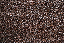咖啡豆,紋理,bean