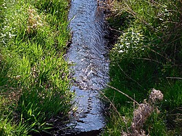 河,過獨(dú)身生活,水
