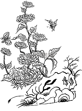 菊花,扇貝,巖