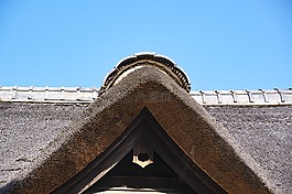日本,農(nóng)村房子,農(nóng)民