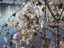 雪,亮度,球