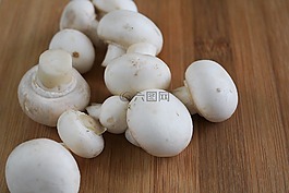 蘑菇,白蘑菇