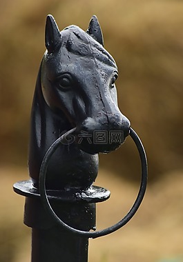 馬,工藝品,結(jié)構(gòu)