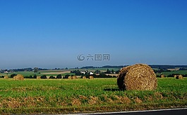 秸稈,稻草包,草地