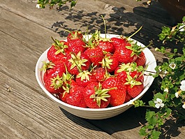 碗,草莓,食品