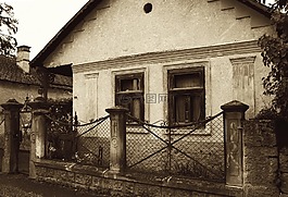 村,房子,圍欄