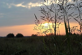 日落,晚上,陽(yáng)光