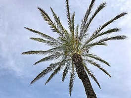 伊維薩,西班牙,巴利阿里群島