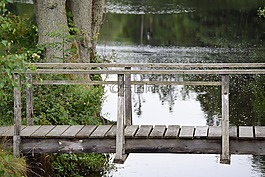 人權法,?,仍
