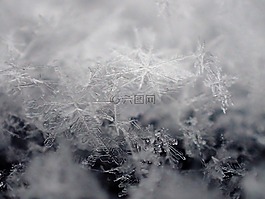 雪,冬天,冰