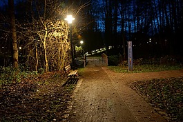 在晚上,在公園里,harsefeld