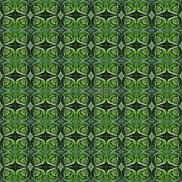 設(shè)計,對稱性,卷心菜
