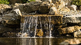 水,瀑布,池塘
