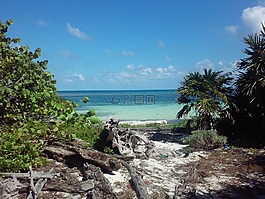 海灘,海,海洋