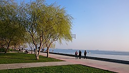 伊斯坦布爾,鷹,海灘