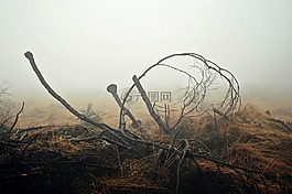 霧,秋季,性質(zhì)