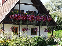 ammersee,utting,首页