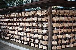文化,旅行,日本