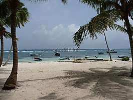 島,海灘,性質(zhì)