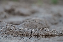 地球,地面,草