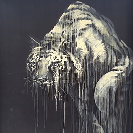 虎,绘图,艺术