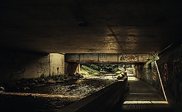 橋,涂鴉,青年