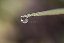 一滴水,水,滴