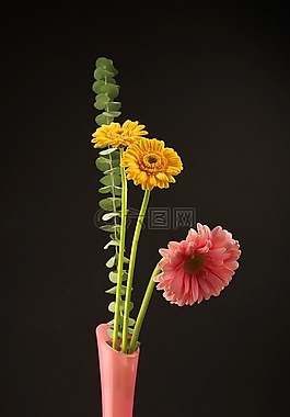 鮮花,明亮,美麗