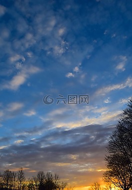景觀,日落,冬天