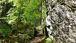 阿尔高,pfronten kappel,hoellschlucht