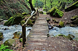 森林,水,步驟