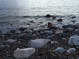 海岸,海灘,石頭