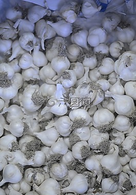 大蒜,羅馬尼亞,商店
