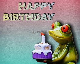 生日快樂(lè),生日,青蛙