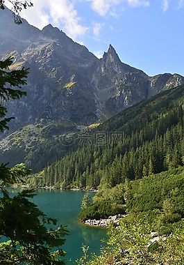 埋,山,景觀