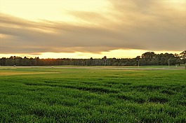 夏天,日落,瑞典