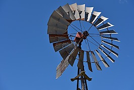 風車,農(nóng)場,農(nóng)村