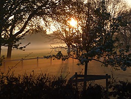 morgenstimmung,日出,霧
