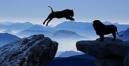 動物,虎,獅子