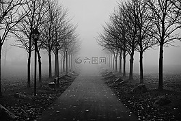 有霧的人行道上,上午,霧
