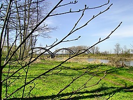 bia?obrzegi,遠景,水