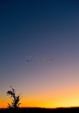 日落,地平線,多彩