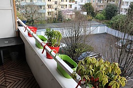 陽臺(tái),花盆,花