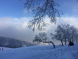 雪,冬天,天空