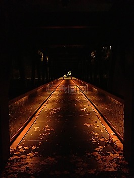離,橋,走秀