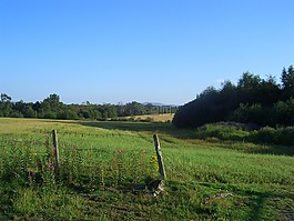 蘇格蘭,農(nóng)田,耕地