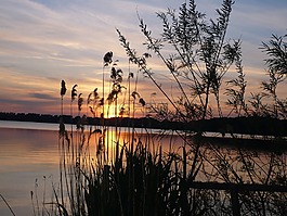 日落,水,余輝